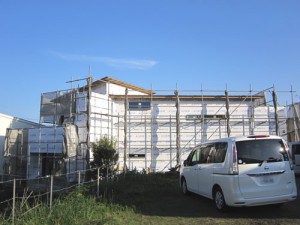 IMG_0332