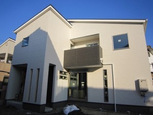 IMG_0185