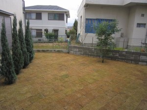 IMG_0271
