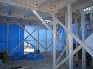 IMG_0347