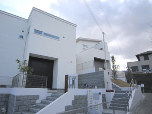 松美台全景
