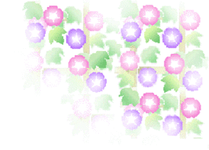 ko-asagao-1