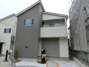 CIMG7027