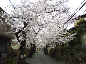 2016.4.2