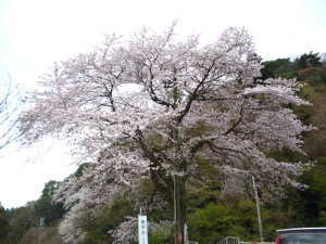 2016.4.3