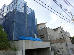 CIMG8364