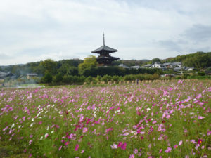 2016.10.20-2