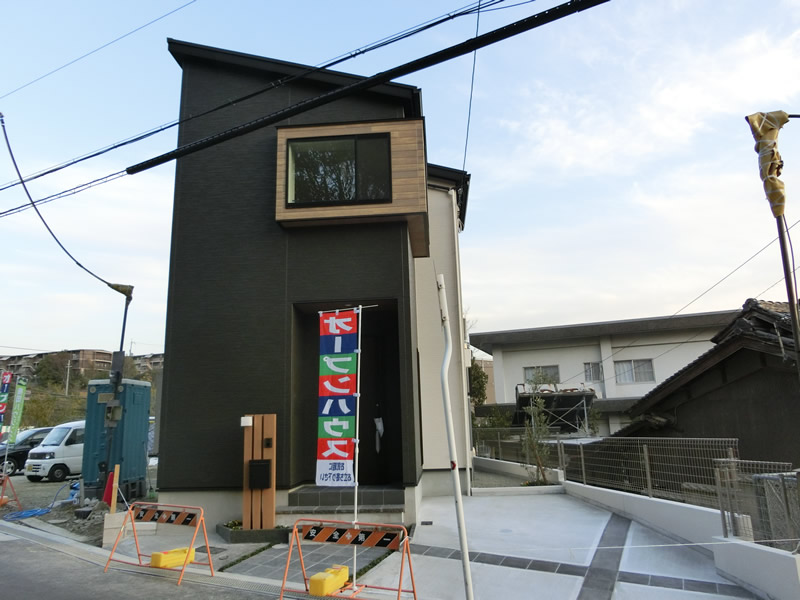 CIMG9913