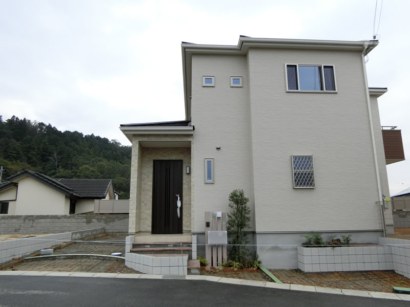 CIMG5265