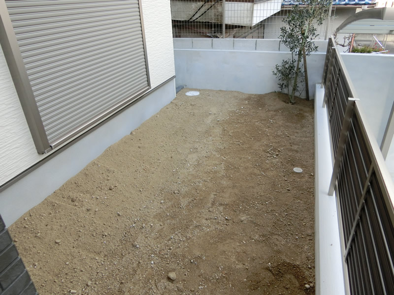 CIMG0302