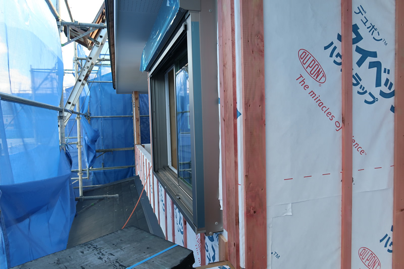IMG_5977